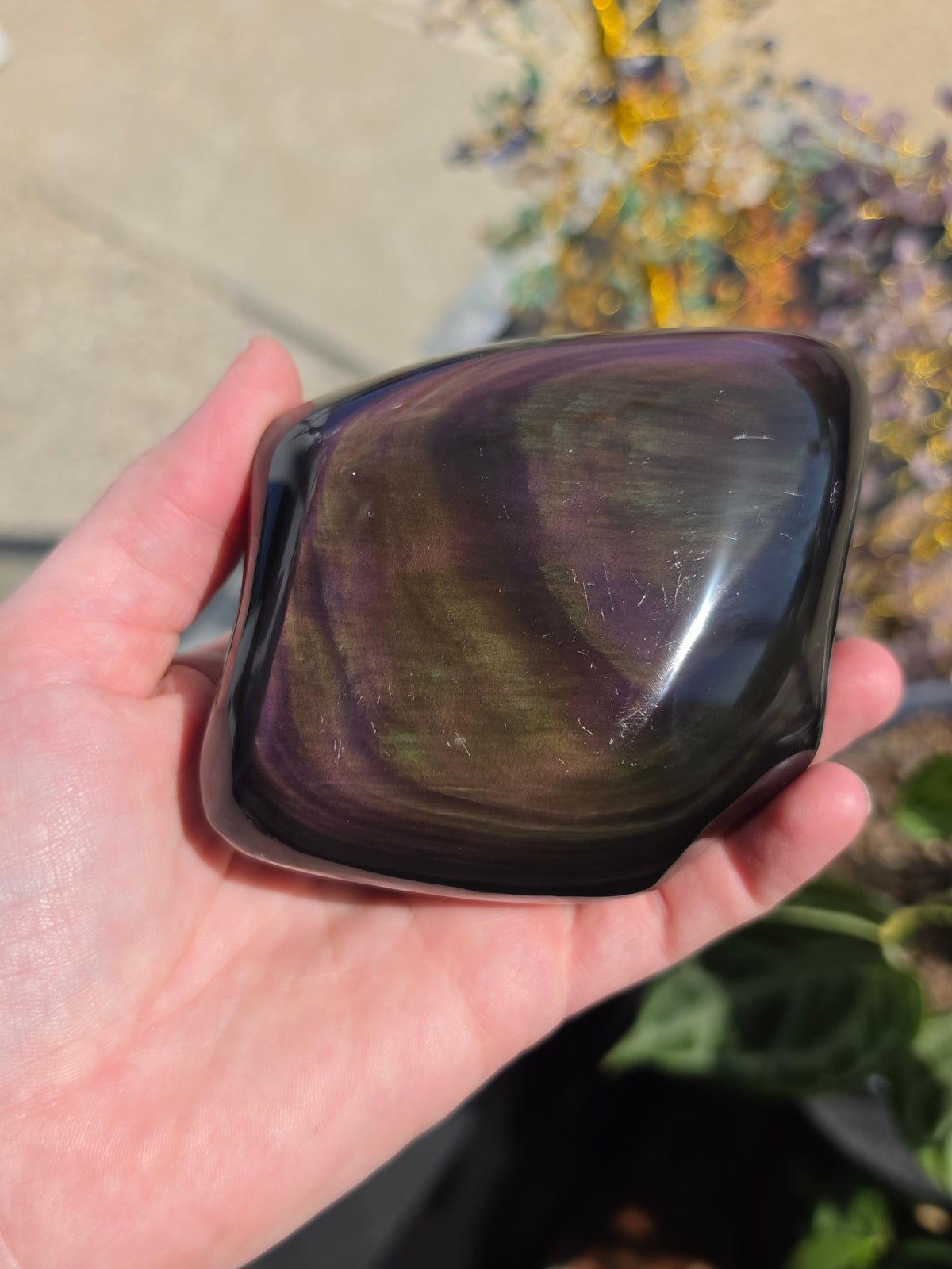 Rainbow Obsidian Freeform