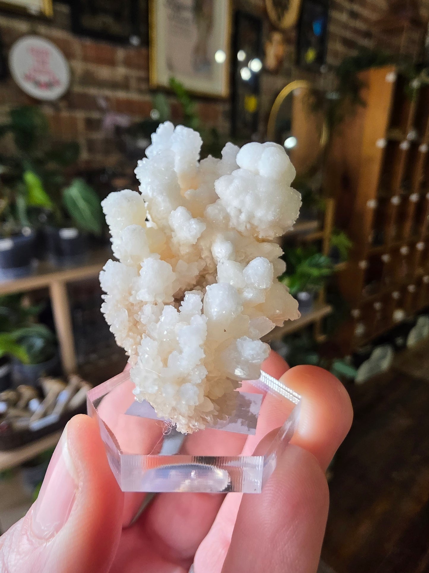 Cave Calcite Cluster
