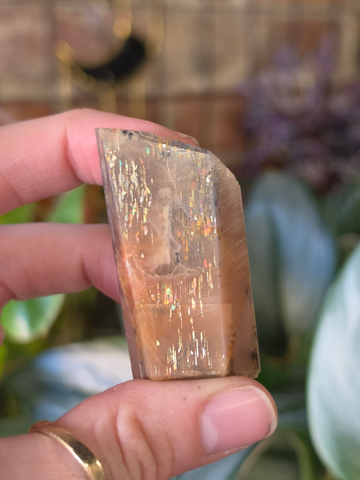 Black Sunstone