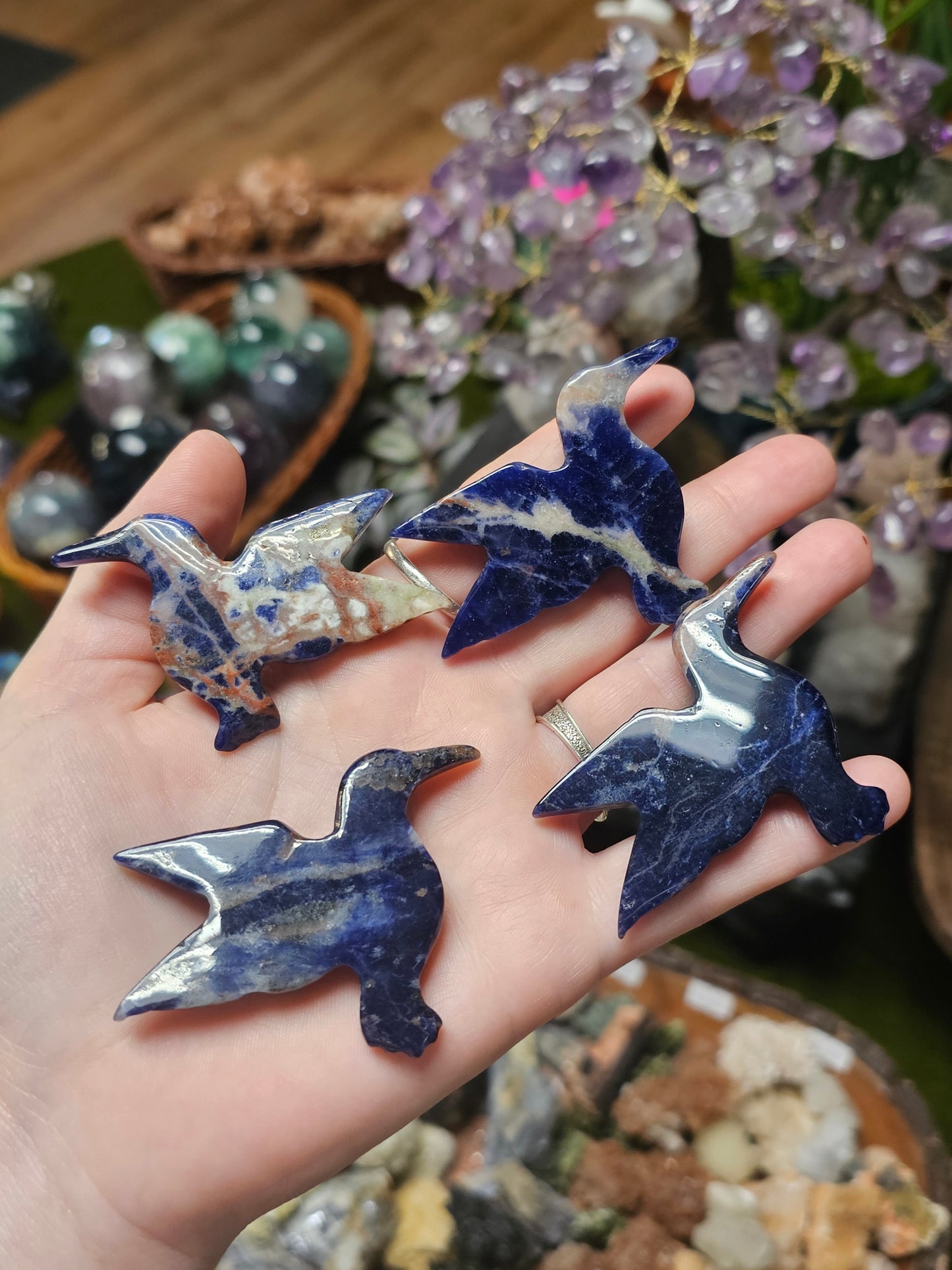 Sodalite Hummingbird Carving