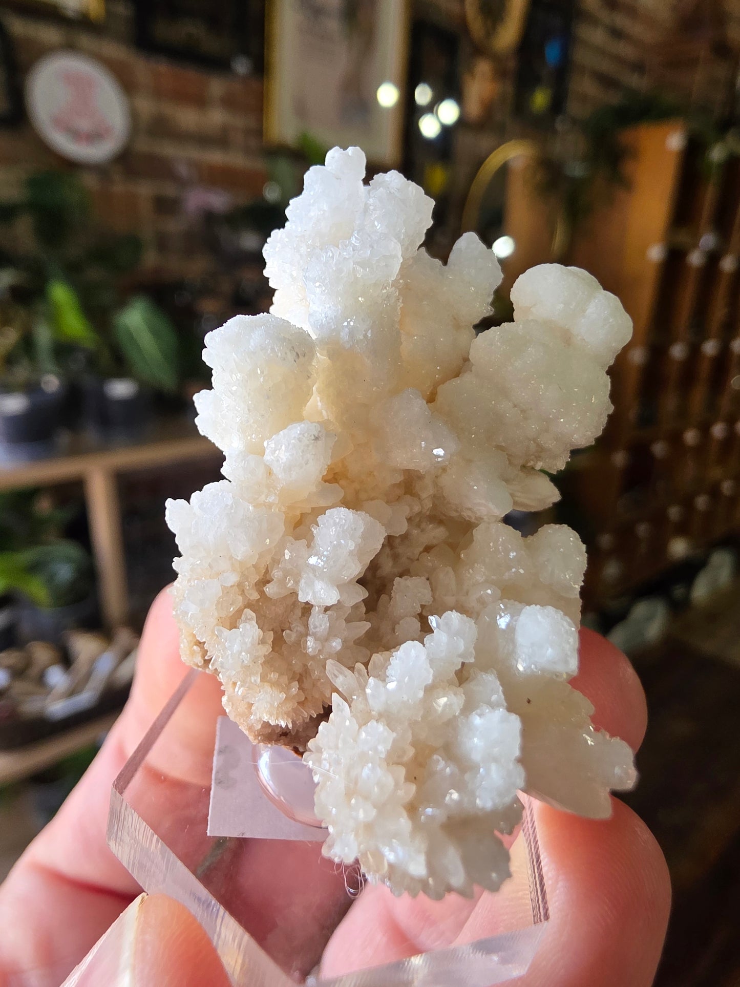Cave Calcite Cluster