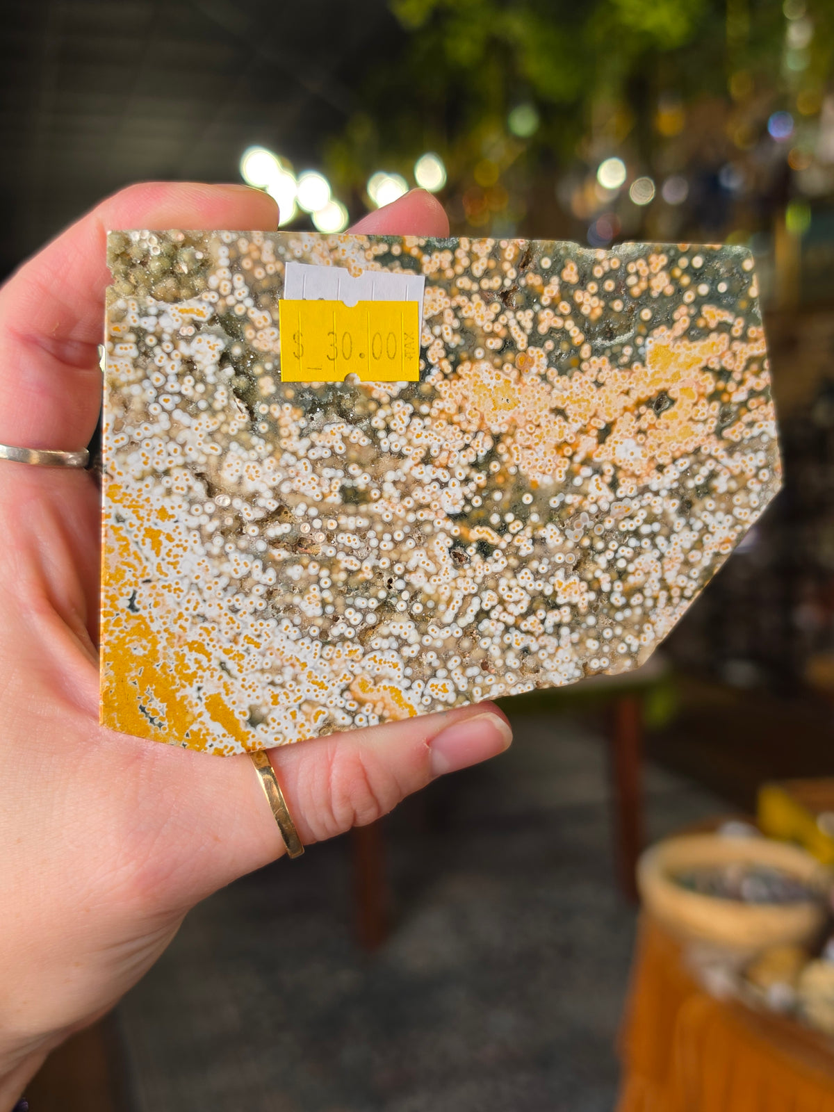 Ocean Jasper Polished Slab