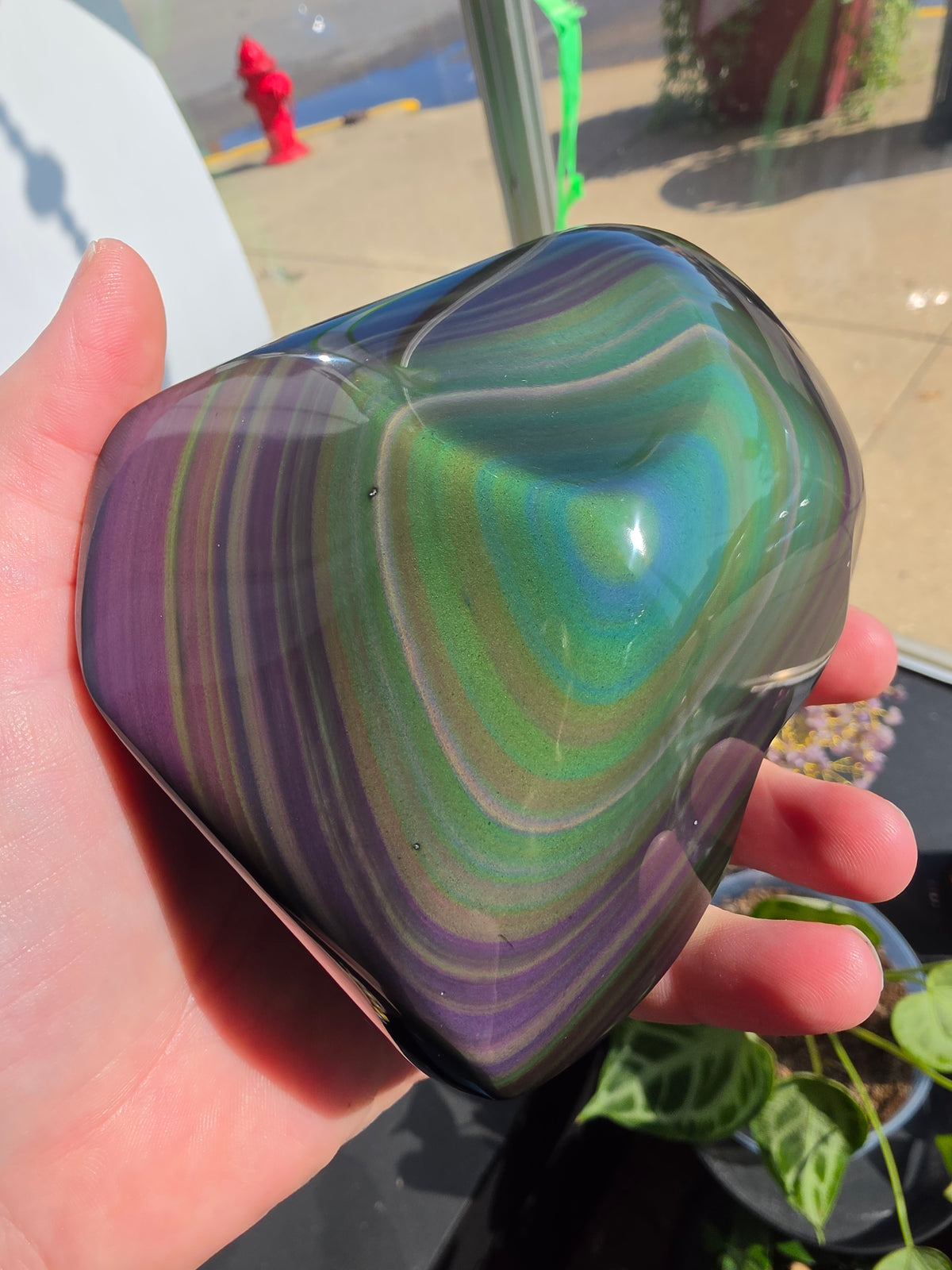 Rainbow Obsidian Freeform