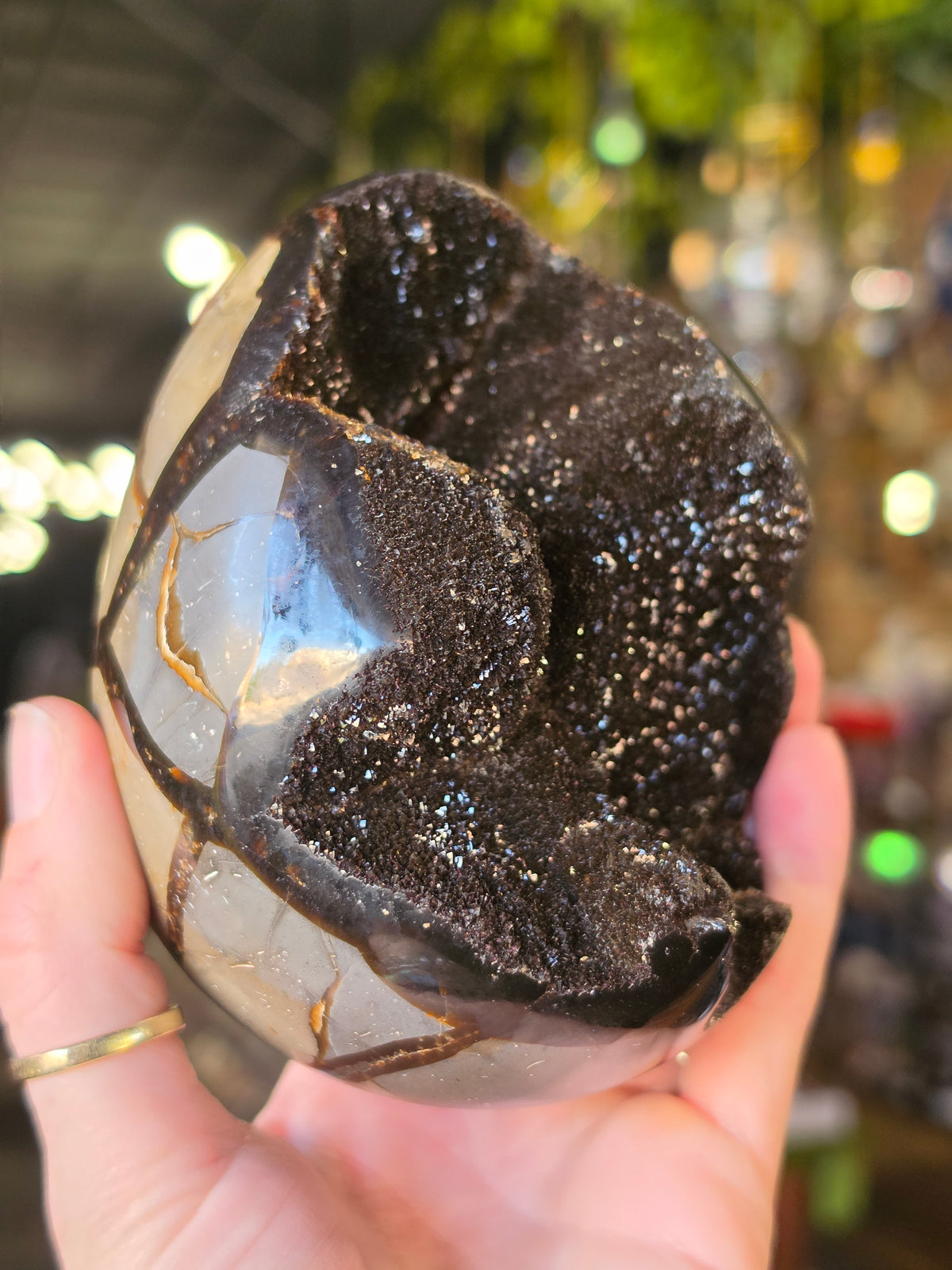Septarian Nodule Egg