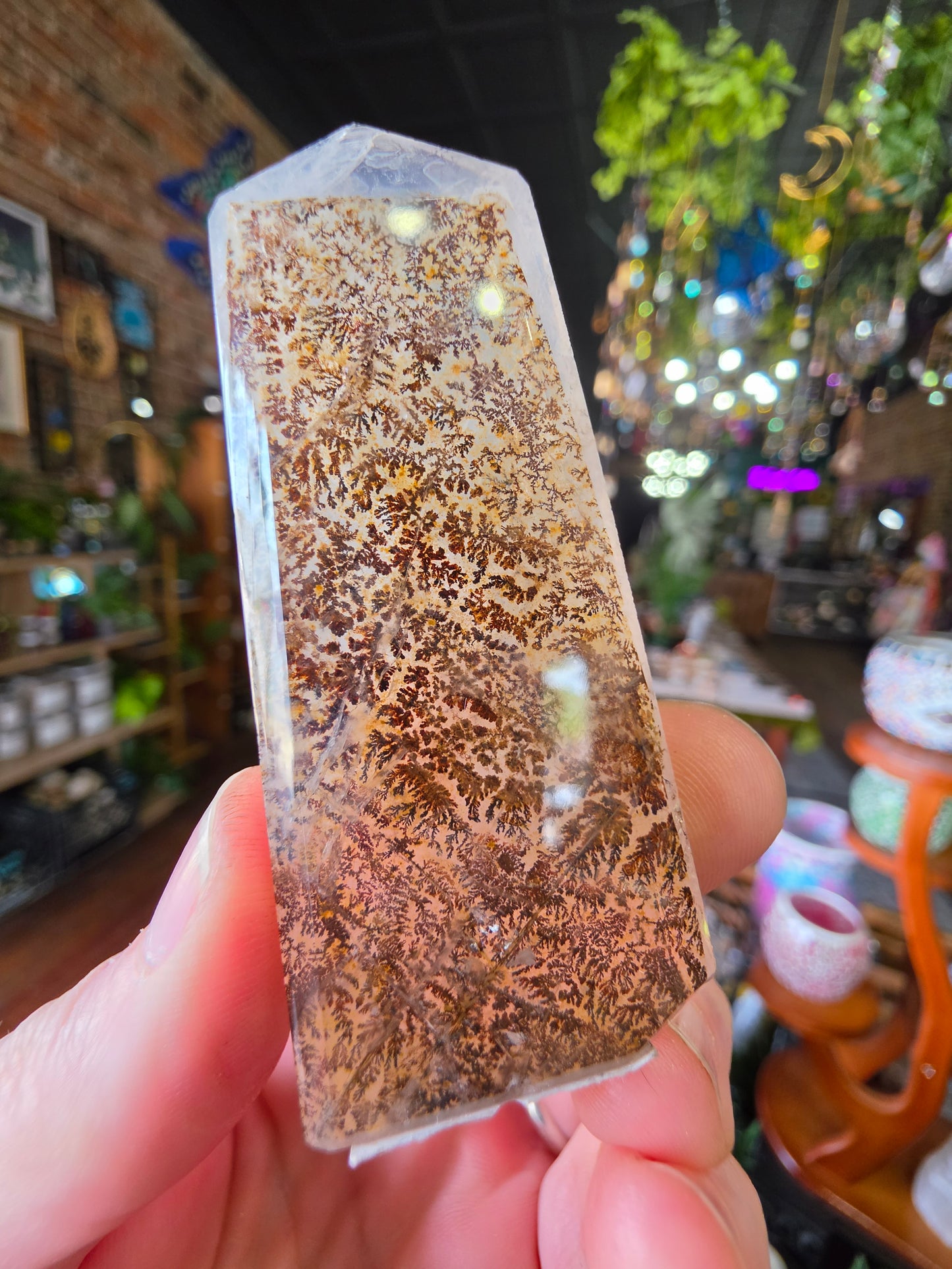 Dendritic Quartz Point
