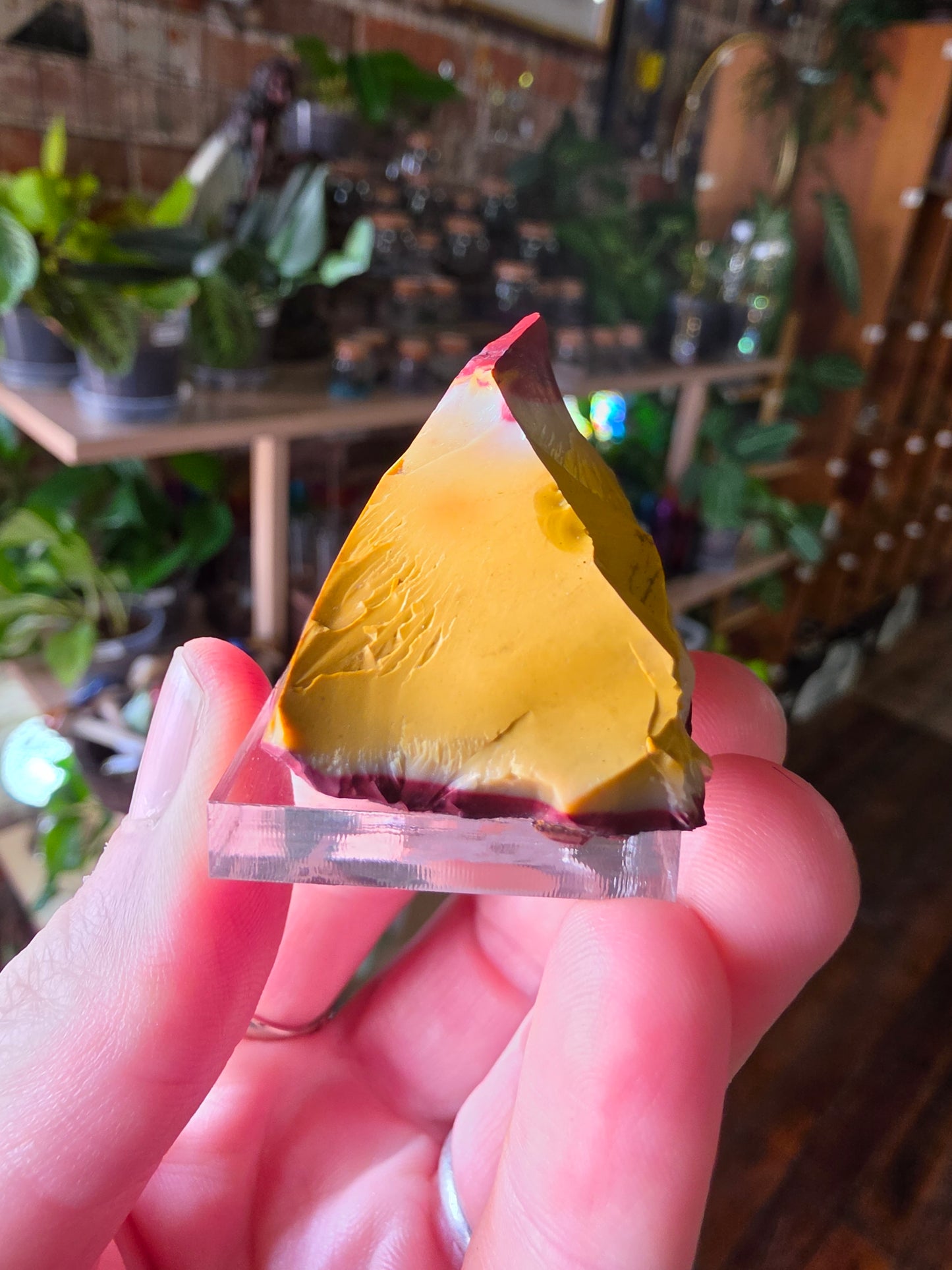Mookaite with Dentrites