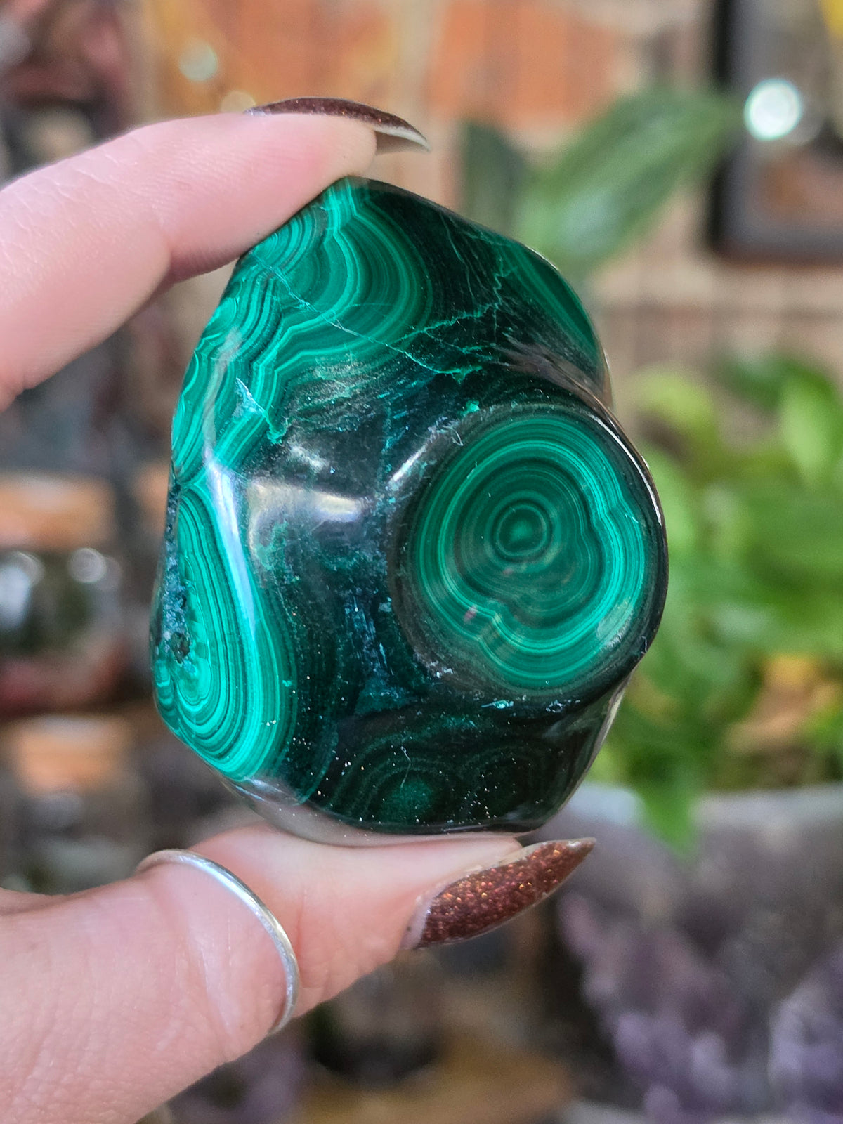 Polished Malachite Free Form