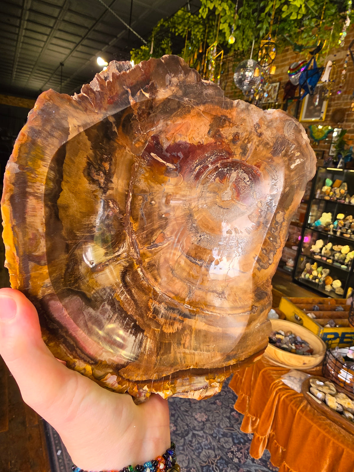 Petrified Wood Bowl