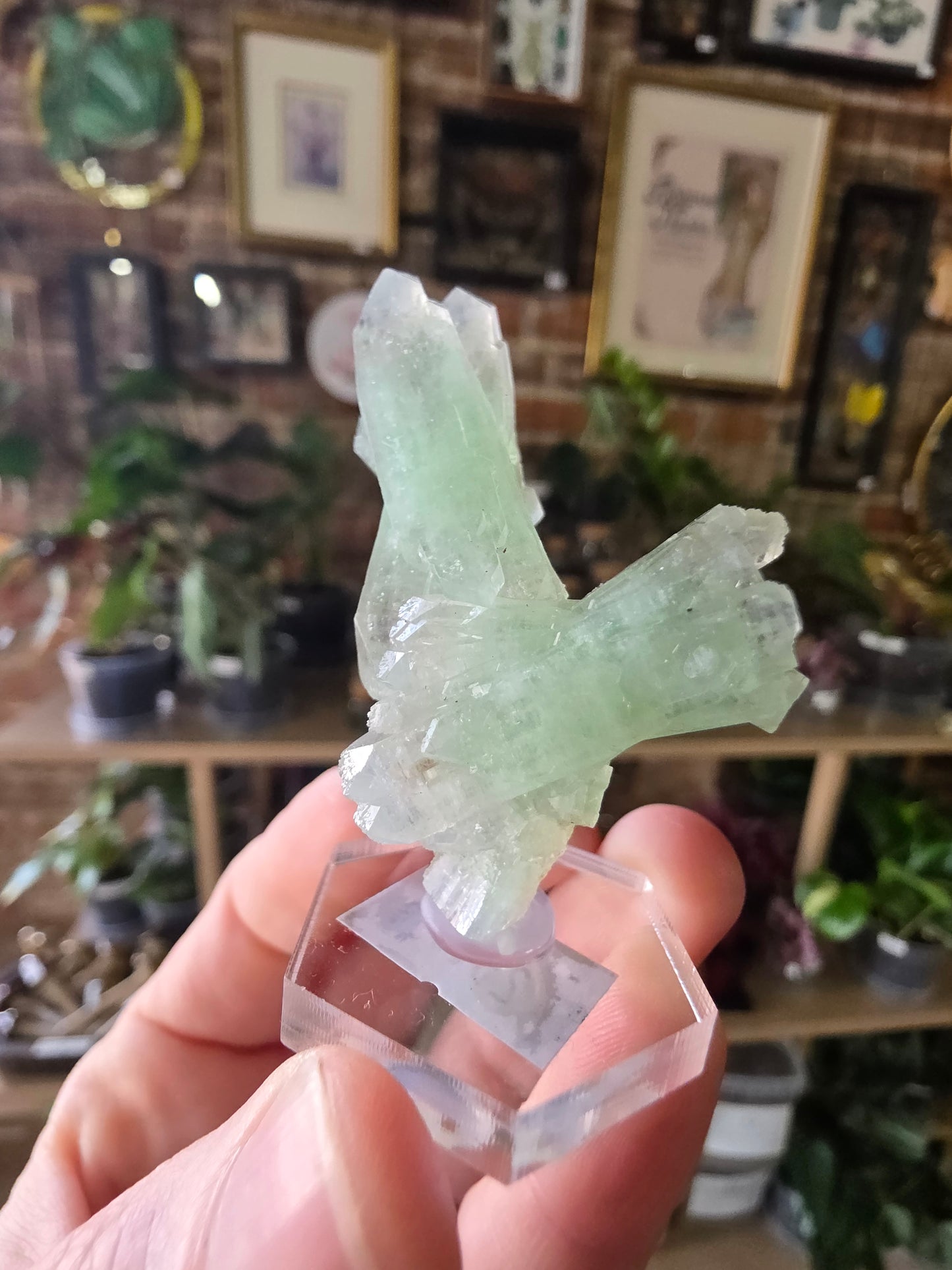 Green Apophyllite