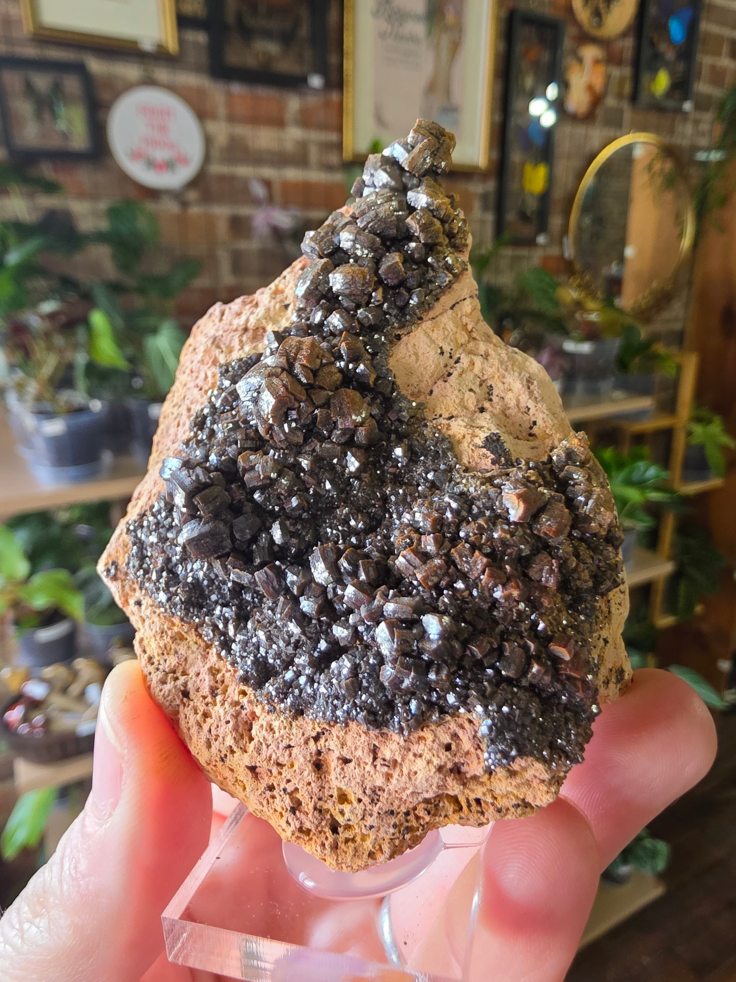 Pyromorphite on Vanadinite