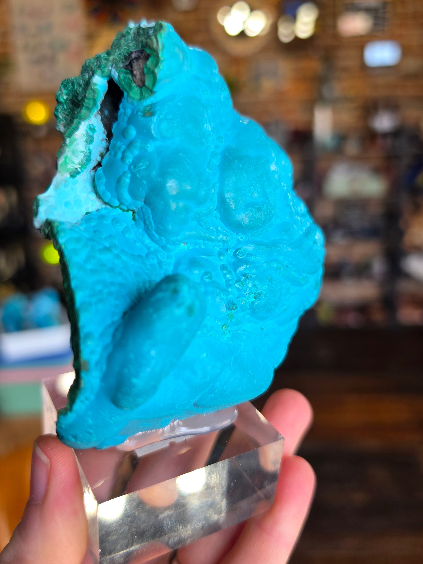 Chrysocolla and Malachite Specimen