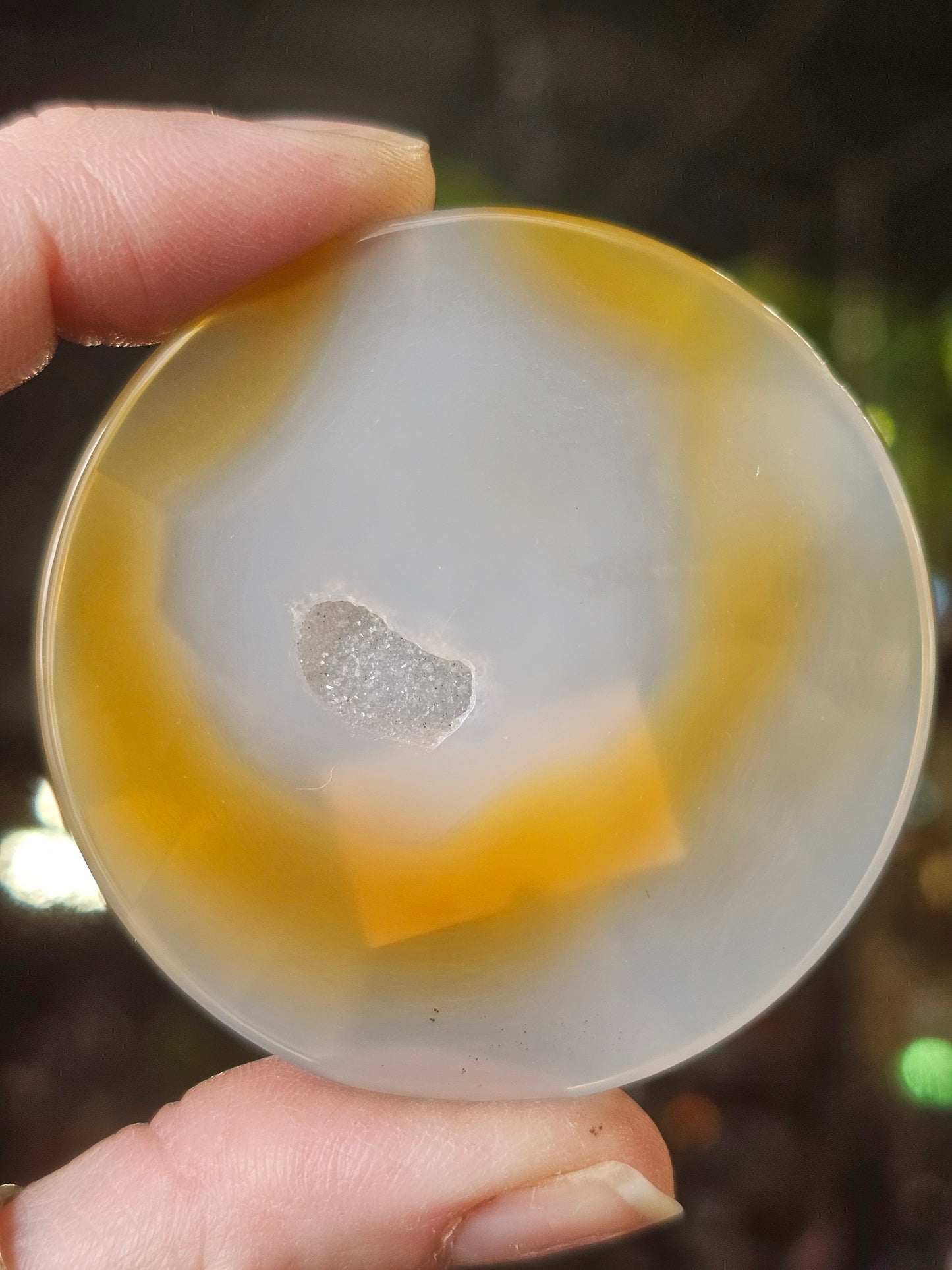Flower Agate Disc