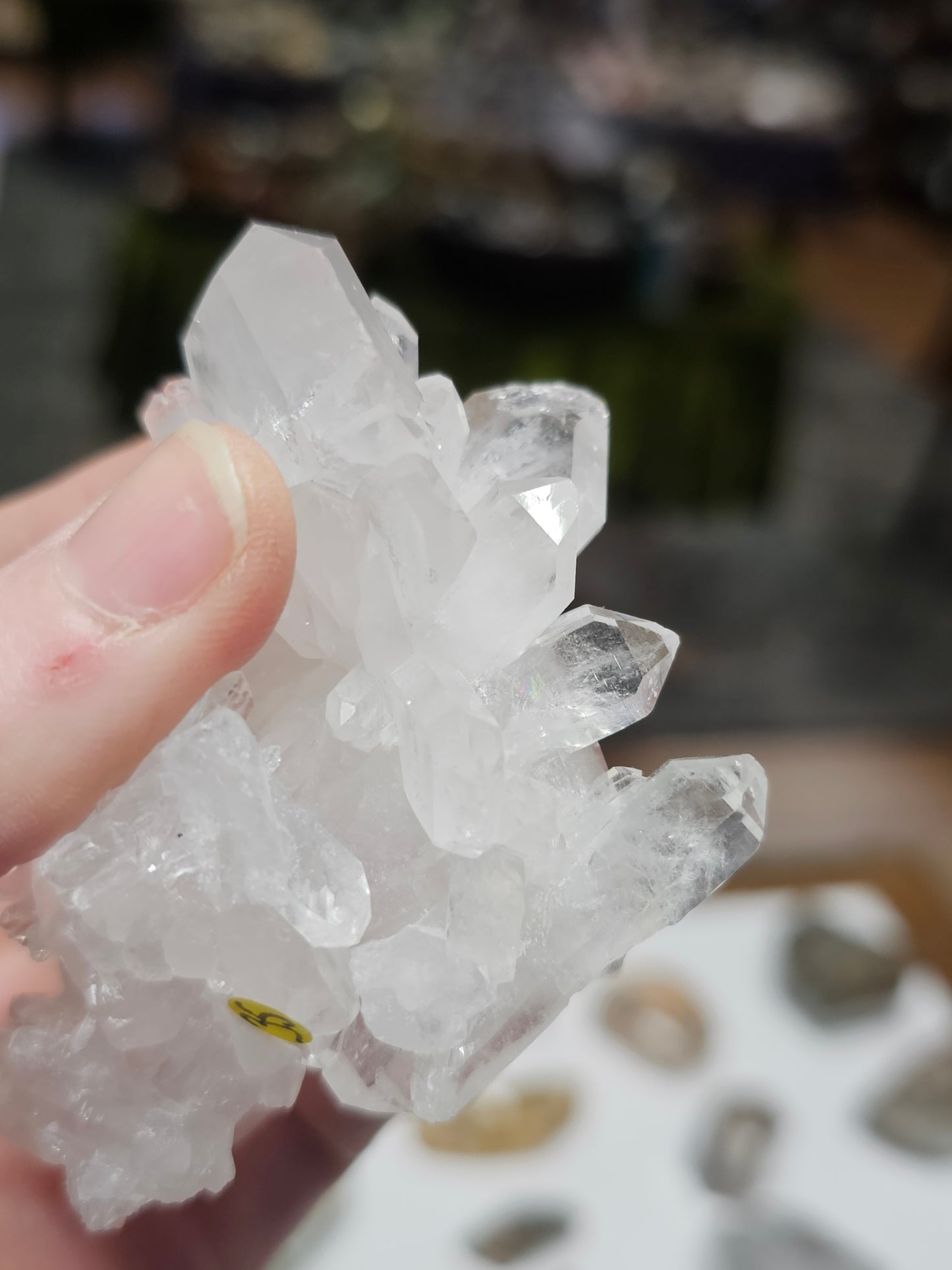 Faded Quartz