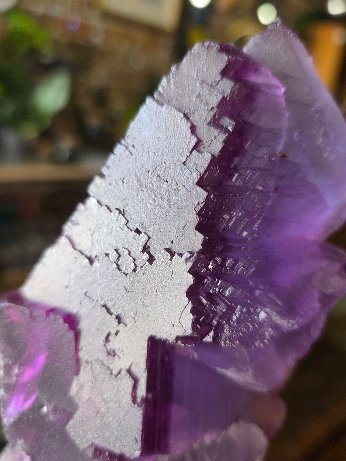 Illinois Fluorite