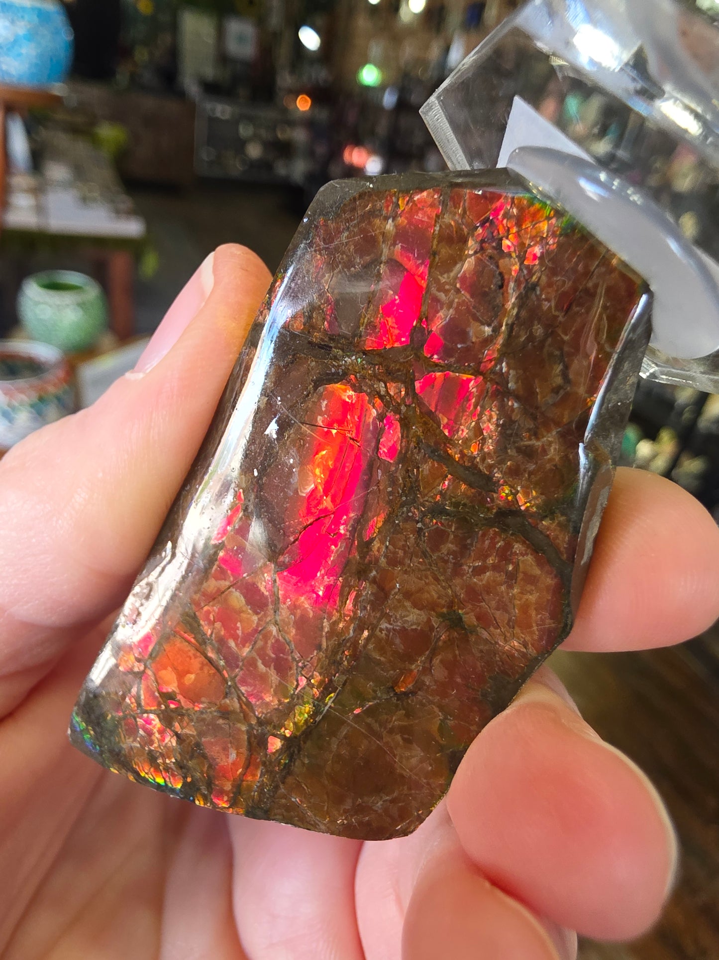 Ammolite