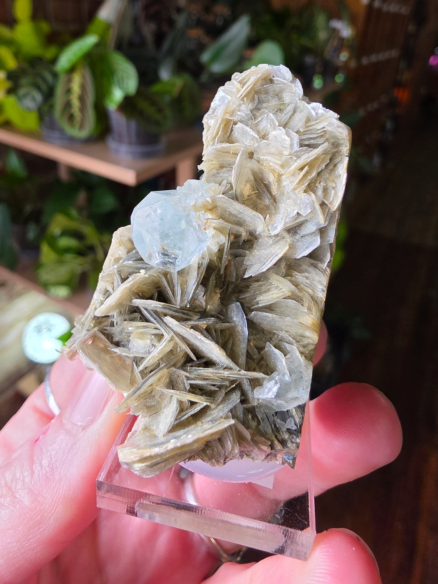 Aquamarine on Muscovite