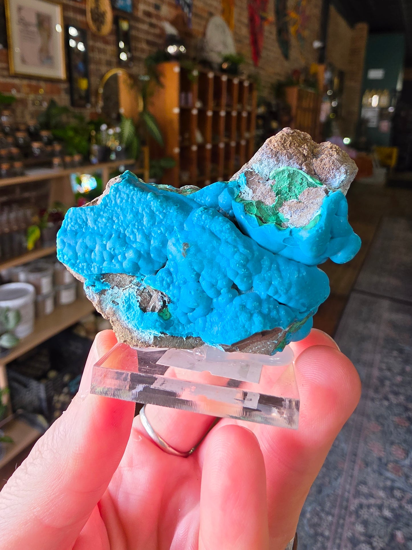 Chrysocolla and Malachite