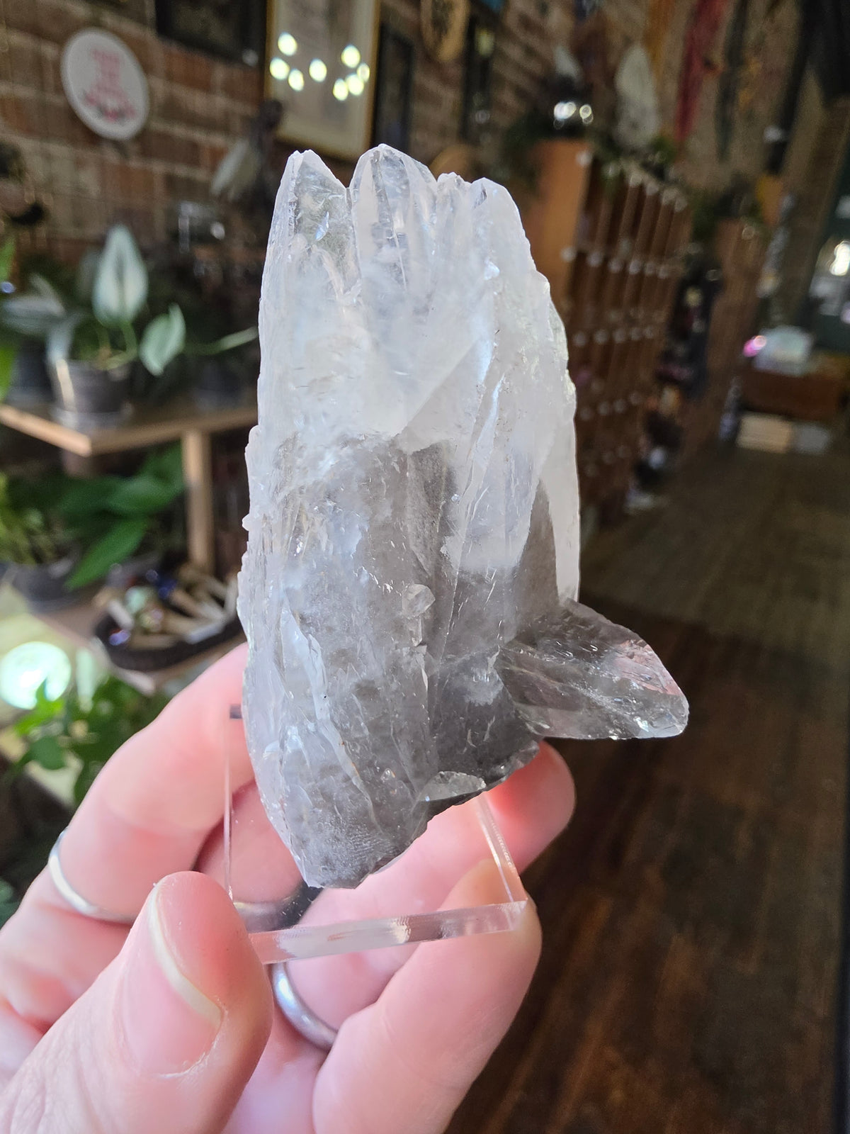 Phantom Calcite