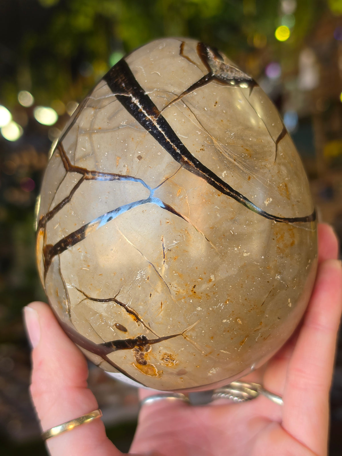 Septarian Nodule Egg