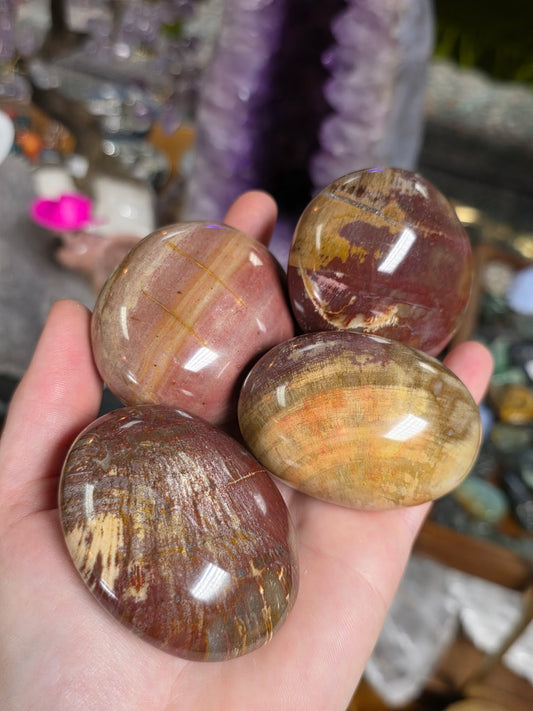 Petrified Wood Palmstone