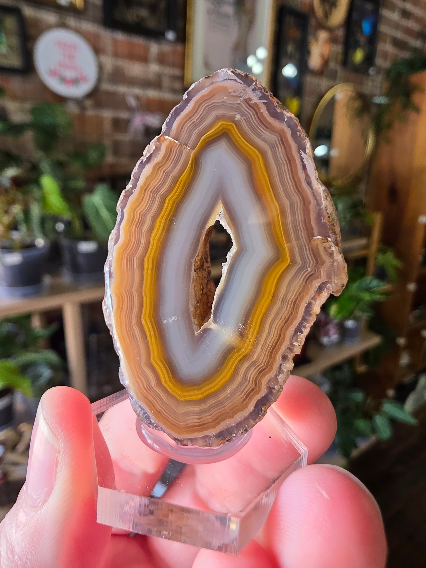 Coyamito Agate Slab
