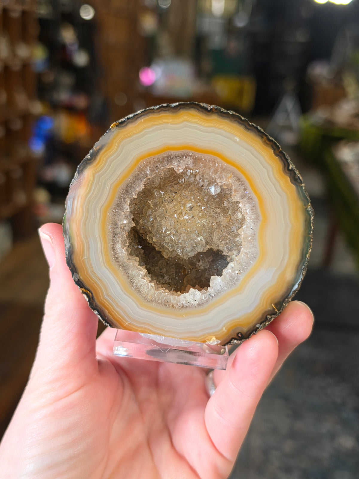 Brazilian Agate Halve