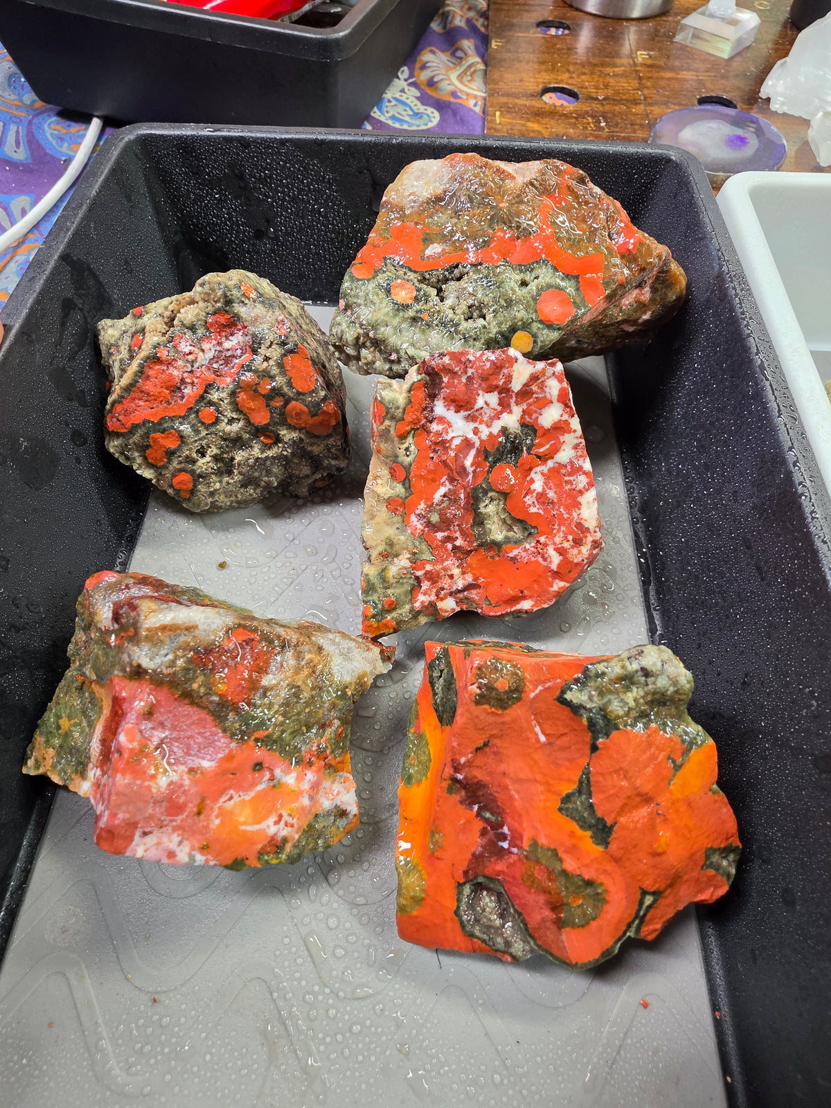 Orbicular Jasper Rough