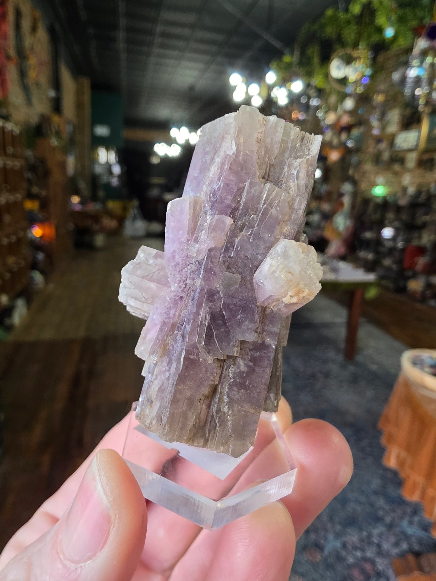 Purple Aragonite