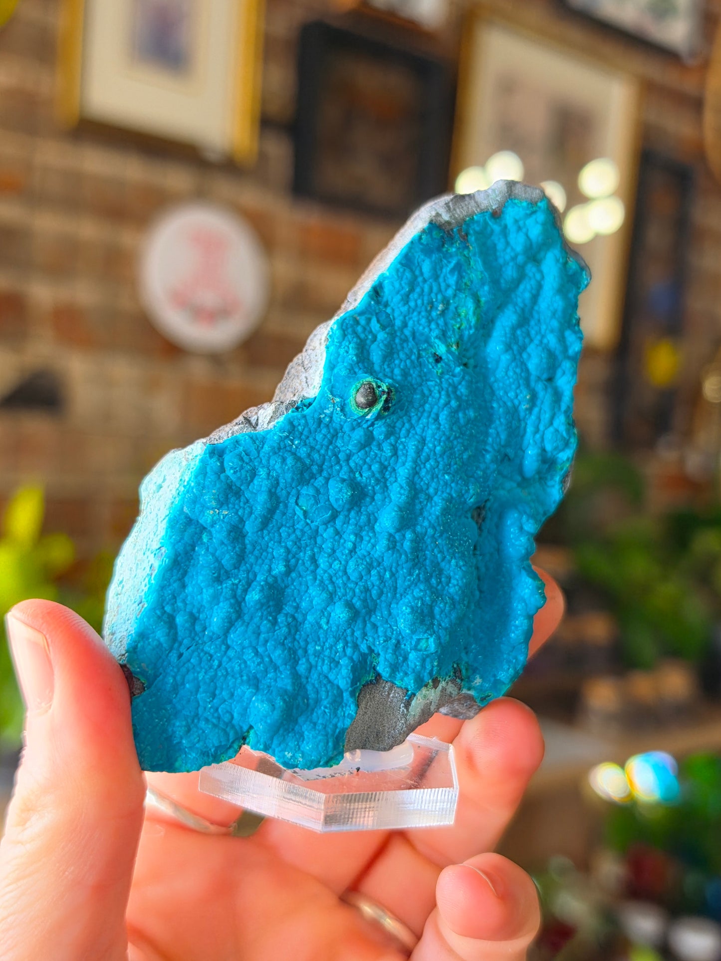 Chrysocolla and Malachite