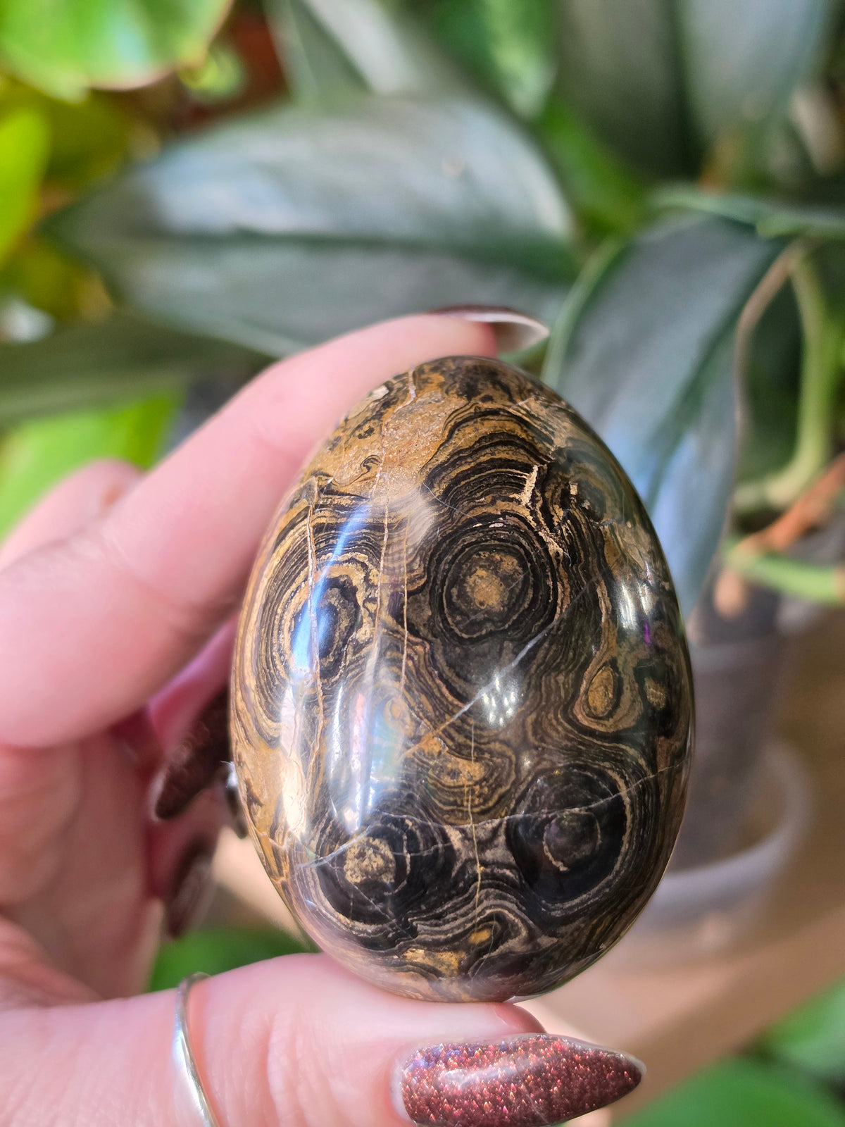Stromatolite Egg
