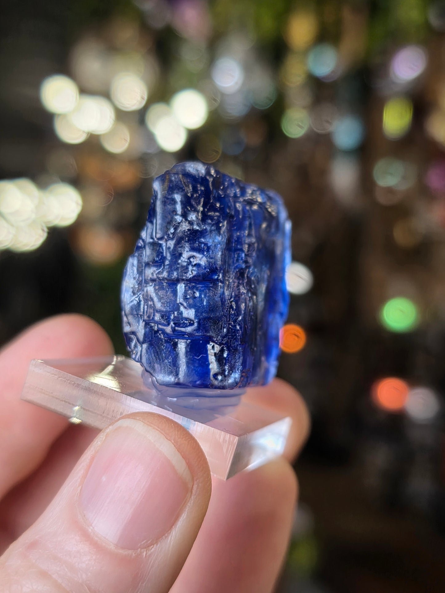 Blue Halite
