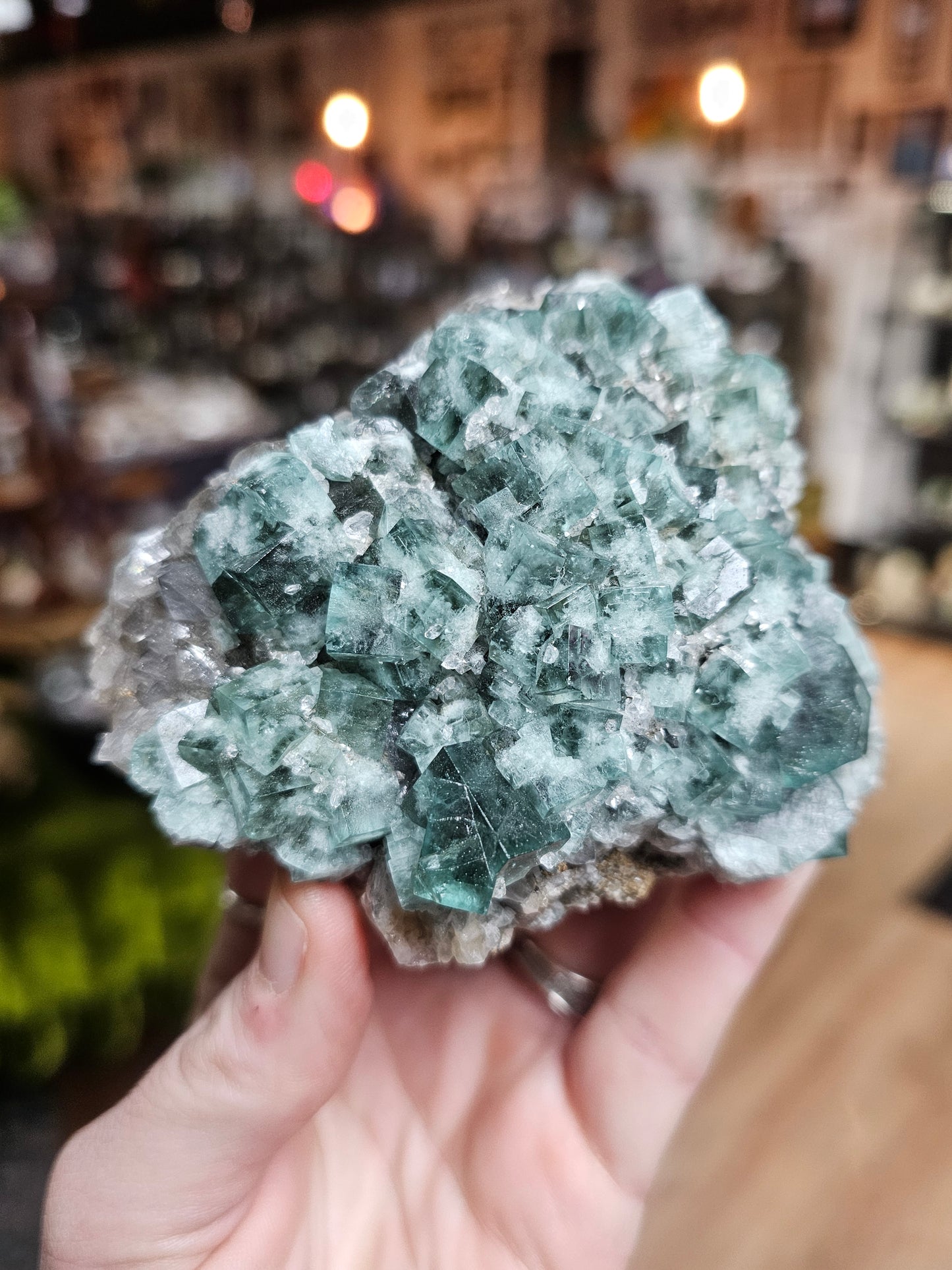 Diana Maria Fluorite