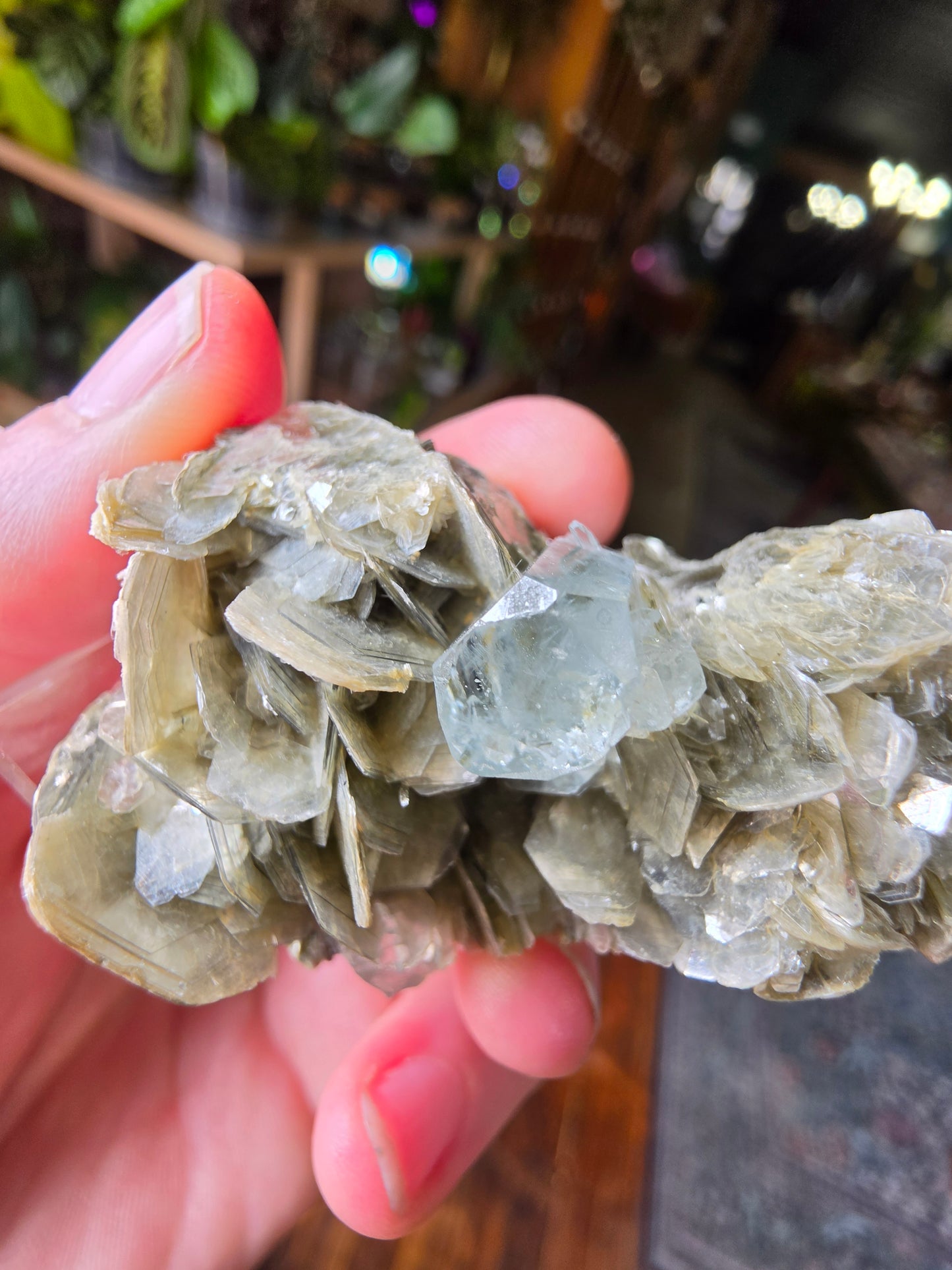 Aquamarine on Muscovite