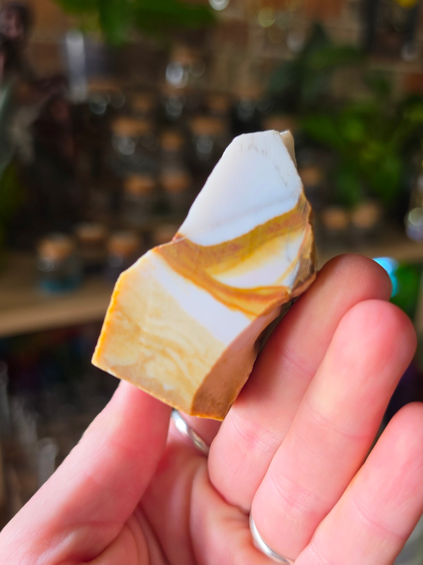 Dendritic Polkadot Agate