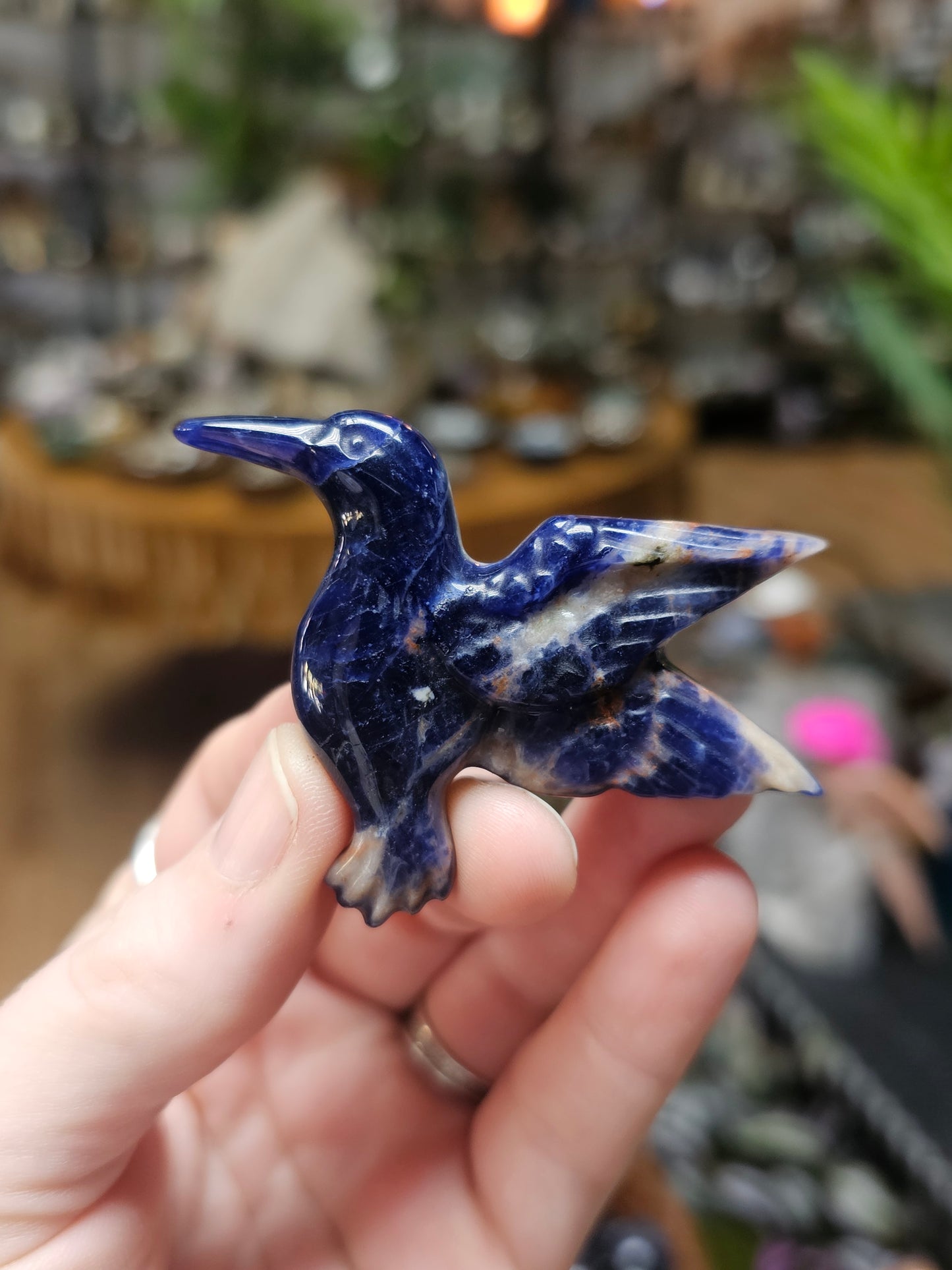 Sodalite Hummingbird Carving