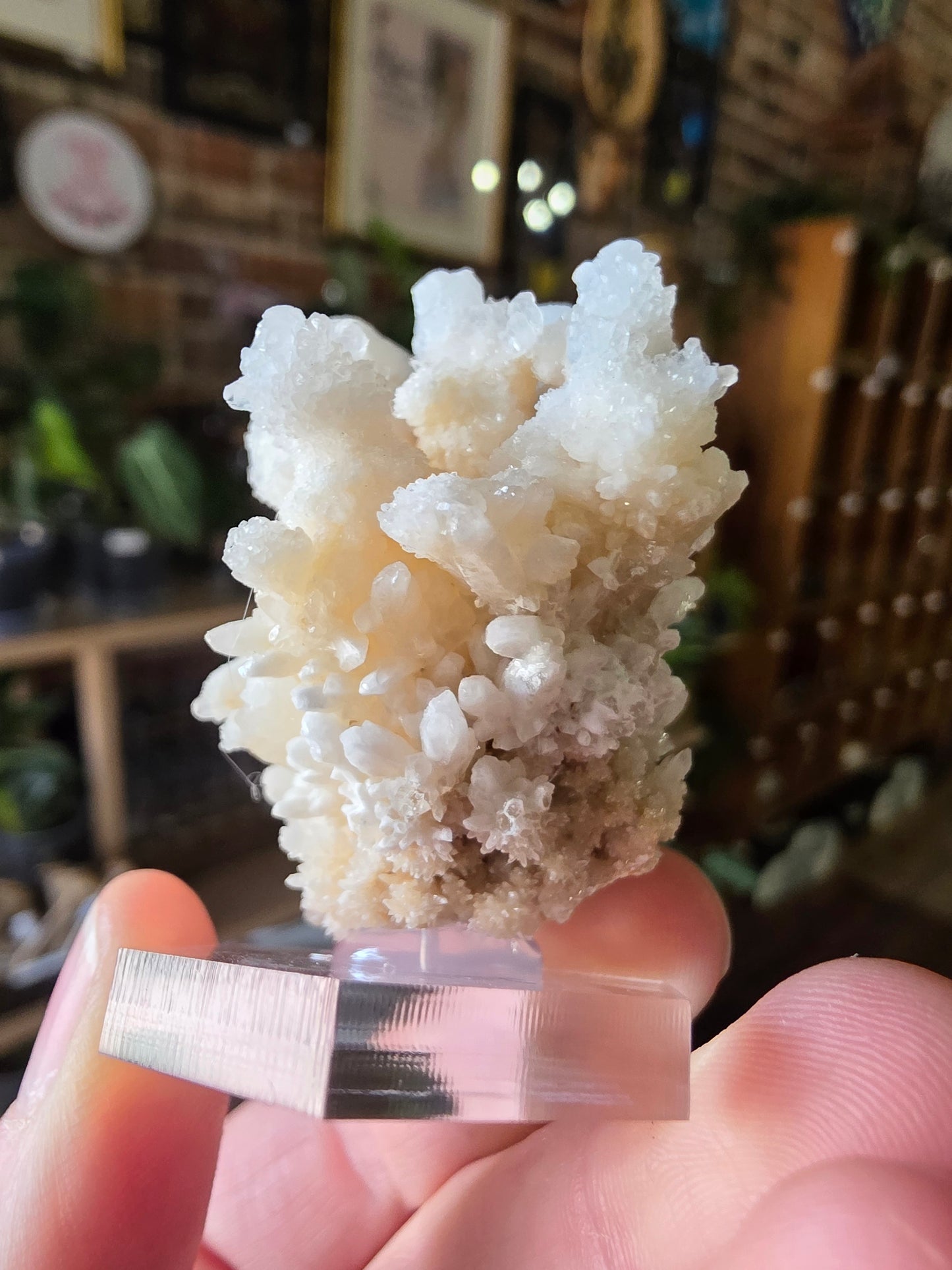 Cave Calcite Cluster